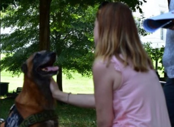 Crime Prevention child with dog image