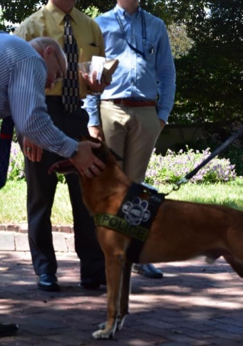 National Night Out image